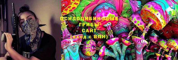 a pvp Богородицк
